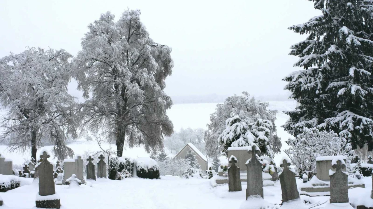 Inwentaryzacja grobów na cmentarzu w Opolu. Nieopłacone miejsca do likwidacji?